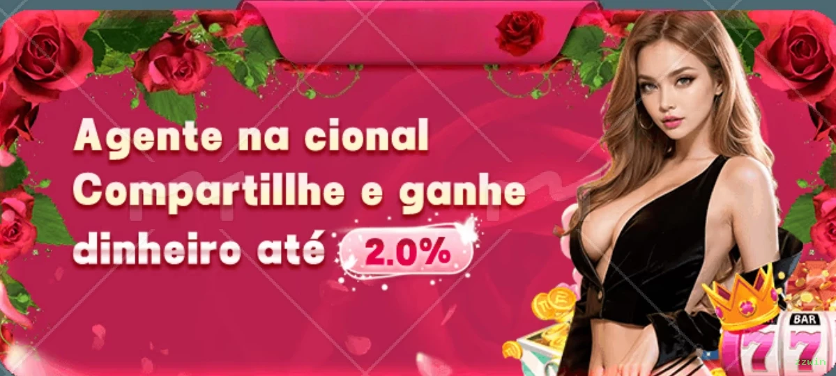 zzwin